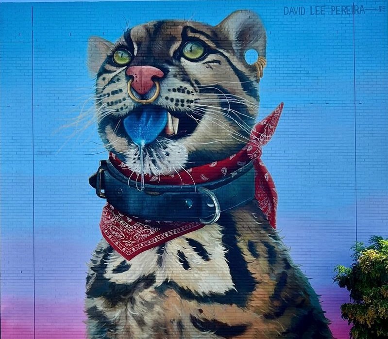 Bonjour tout le monde !
#StreetArt 
#davidleepereiraart