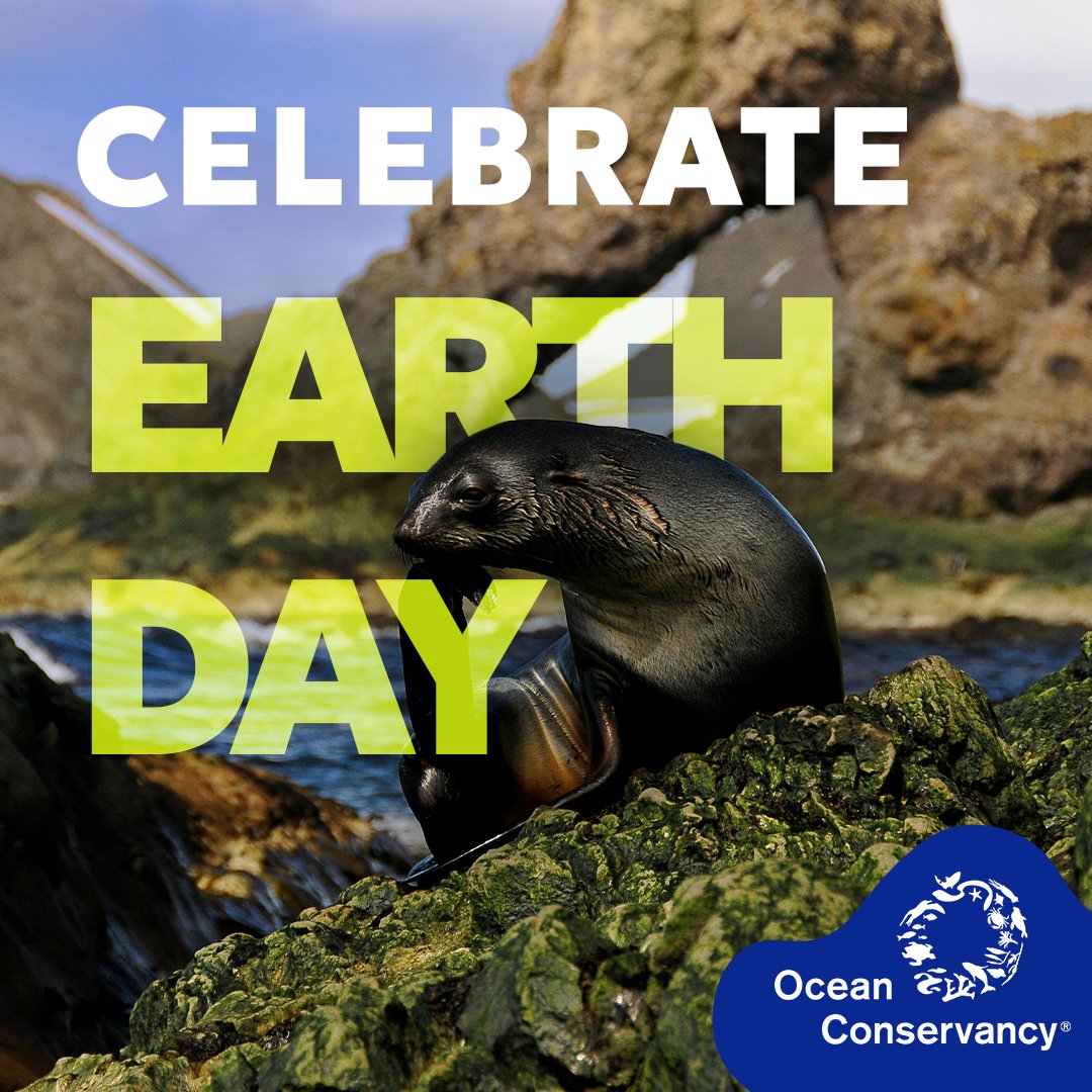 OurOcean's tweet photo. #EarthDay2024 is HERE! 🌎

Every donation to @OurOcean made by MIDNIGHT will be DOUBLED until we reach our goal of $100K, thanks to our board &amp; generous donors. That's 2X the impact for our ocean! #PlanetVsPlastics

Give in honor of #EarthDay: 👇 

🔗 https://t.co/vMRmEZHQTA https://t.co/CJi1cHIjgs
