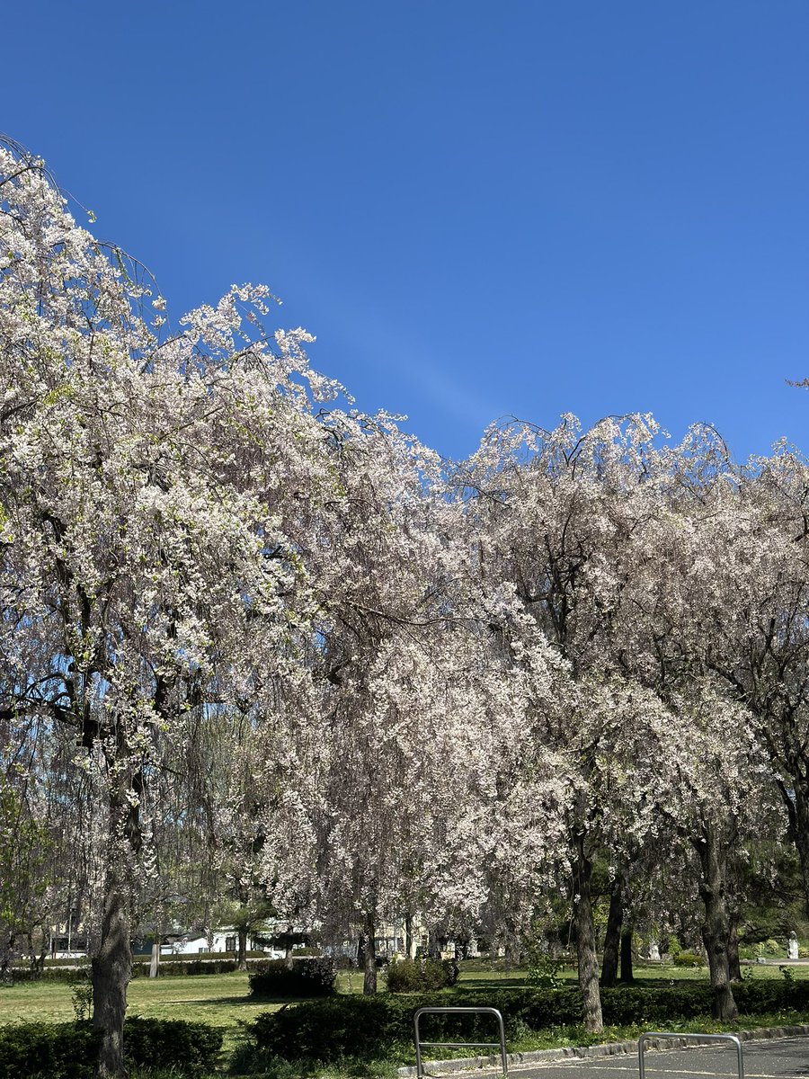 学生の頃この公園で青◯したなー。笑