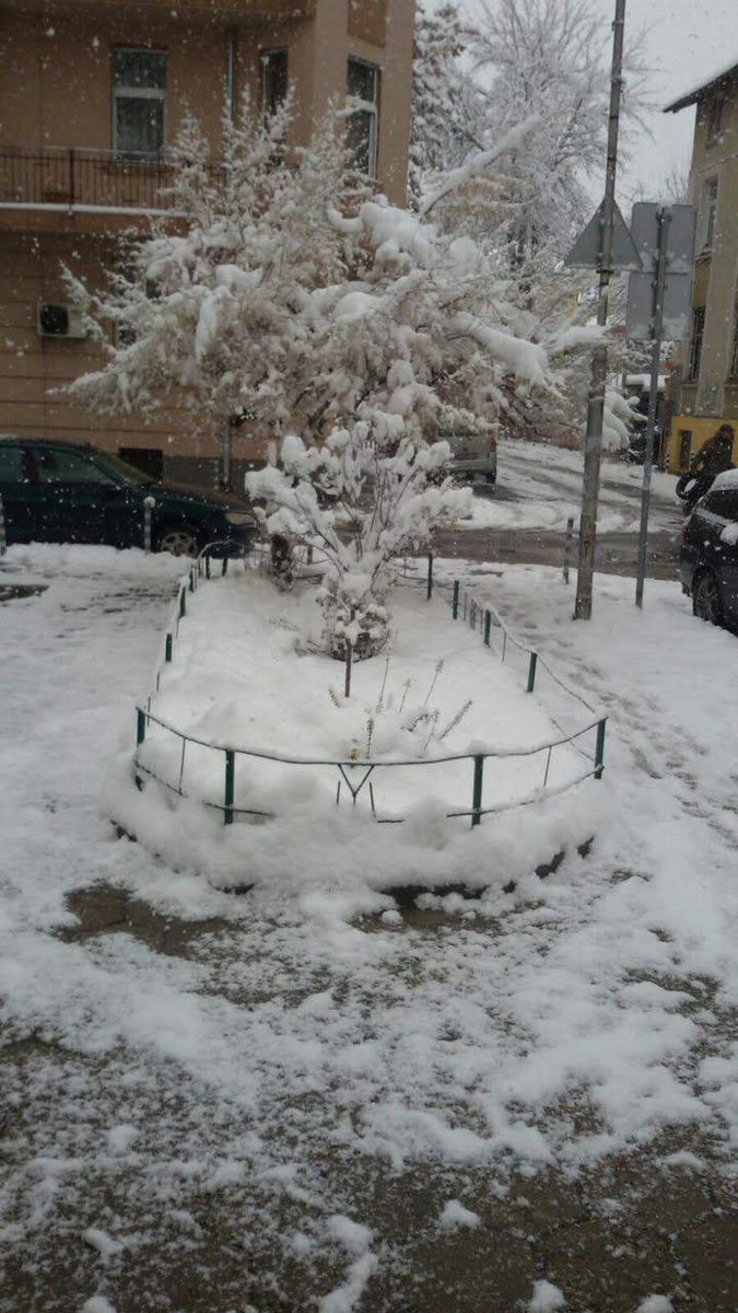 Labgol7's tweet image. All given and none taken!