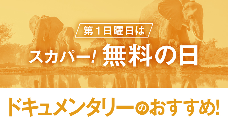 ▕ ▌⚾無料放送⚾ ▌ ▏
『バイオグラフィー：#ベーブ・ルース ～野球の神様』

幼少期から #ヤンキース での栄光の日々まで、元祖二刀流として知られる #野球 の神様の歴史を辿る‼

📆5/5(日)夜8時～
📺ヒストリーチャンネル

★5/5(日)は #スカパー無料 の日♪
x.gd/1JWtU
@HISTORYjp