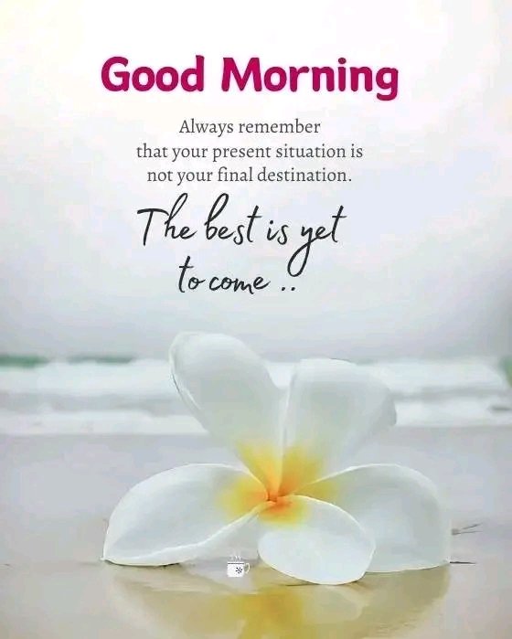 Marcus2608 tweet media