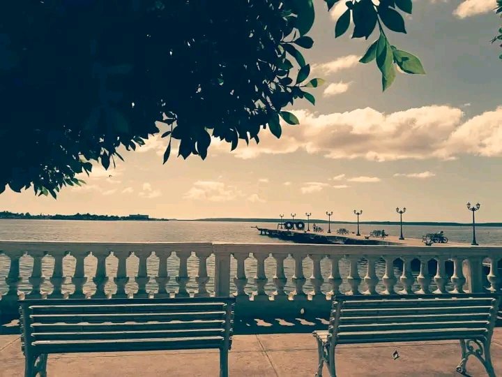 CubanaLidice's tweet photo. Felicidades mi Cienfuegos querido, que tú gente buena y orgullosa cada día hagan por tí el mejor homenaje a la historia y tradiciones de este pedacito de tierra amada por todos...a 205 años de su fundación...mi Perla brilla y crece
 ❤️💙🤍🌻🌻🌻

#CienfuegosXMásVictorias https://t.co/2RtBVZDR6w