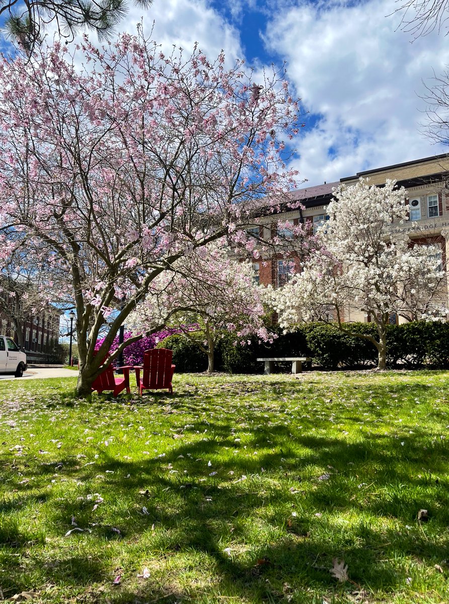 @UMassAmherst Spring has sprung, and I couldn't resist capturing this burst of color! #UMassBeautiful