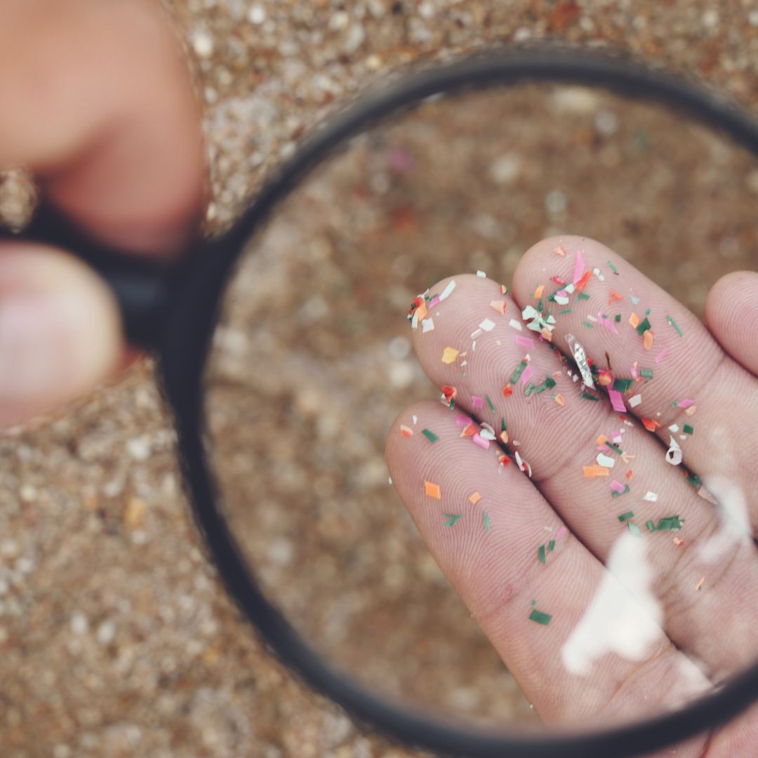 How are #microplastics affecting your health? Today is #EarthDay2024 - this year's theme 'planet vs. plastics'. #Centenary #UTS Centre for Inflammation Dr Paudel's research aims to improve understanding of plastic exposure at molecular & cellular levels: centenary.org.au/news/grant-awa…