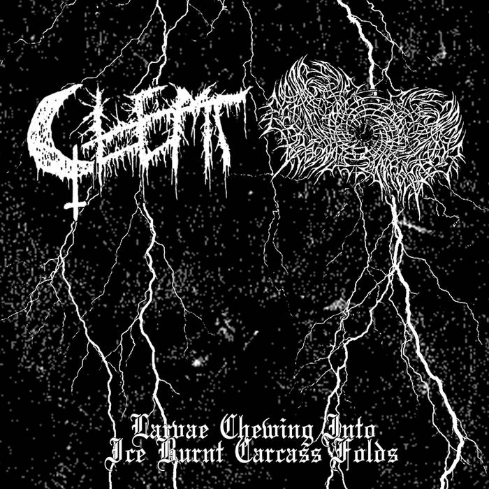 GLEMT (Regne Unit) presenta nou Split: 'Larvae Chewing Into Ice Burnt Carcass Folds' #Glemt #RawBlackMetal #Abril2024 #RegneUnit #NouSplit #Metall #Metal #MúsicaMetal #MetalMusic