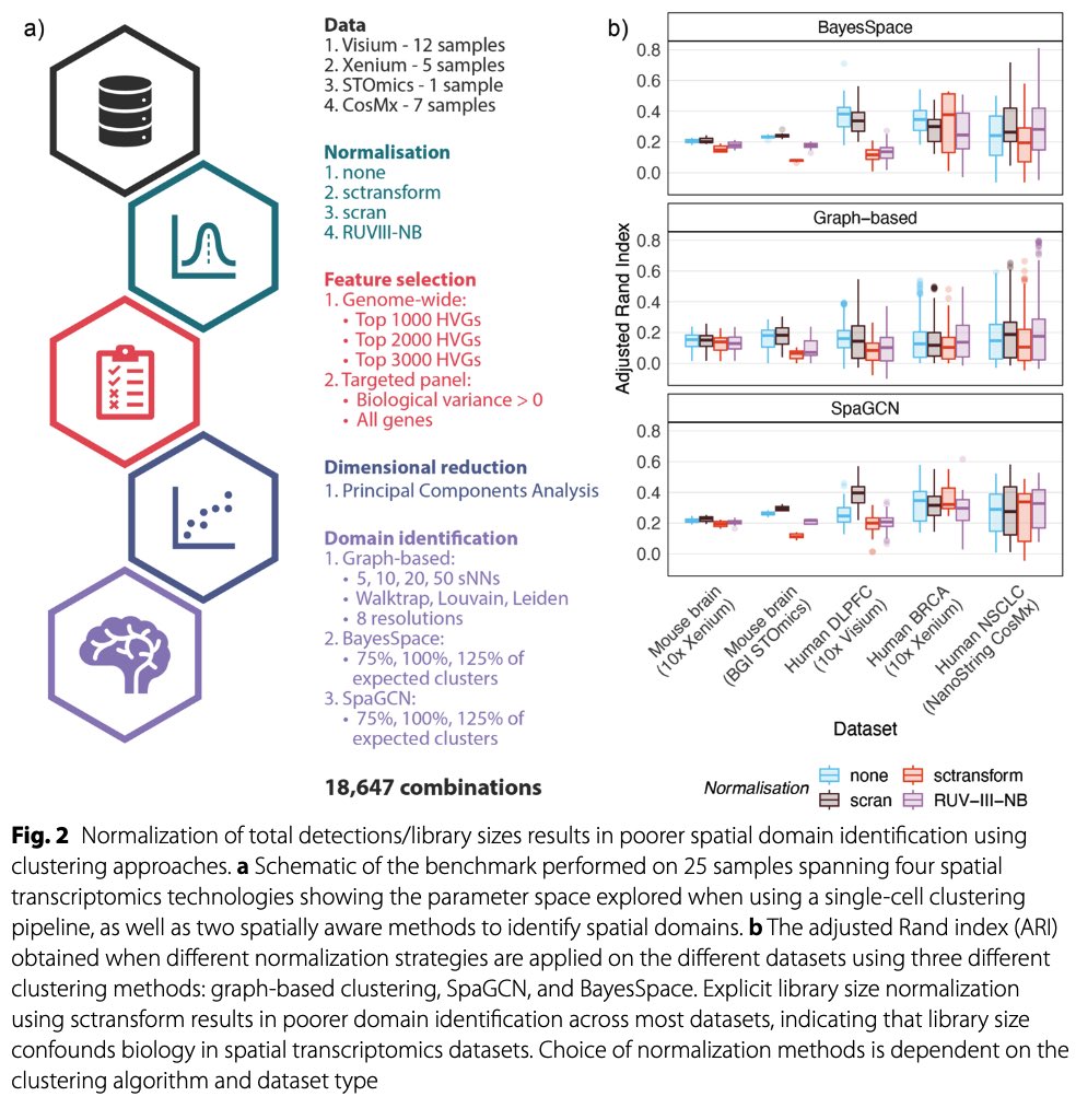 “Library size confounds biology in spatial transcriptomics data” finally out in Genome biology! TL;DR - LS normalisation is bad for domain identification. - Exercise caution in adapting scRNA-seq methods to ST - New normalisation methods needed for ST rdcu.be/dE93v