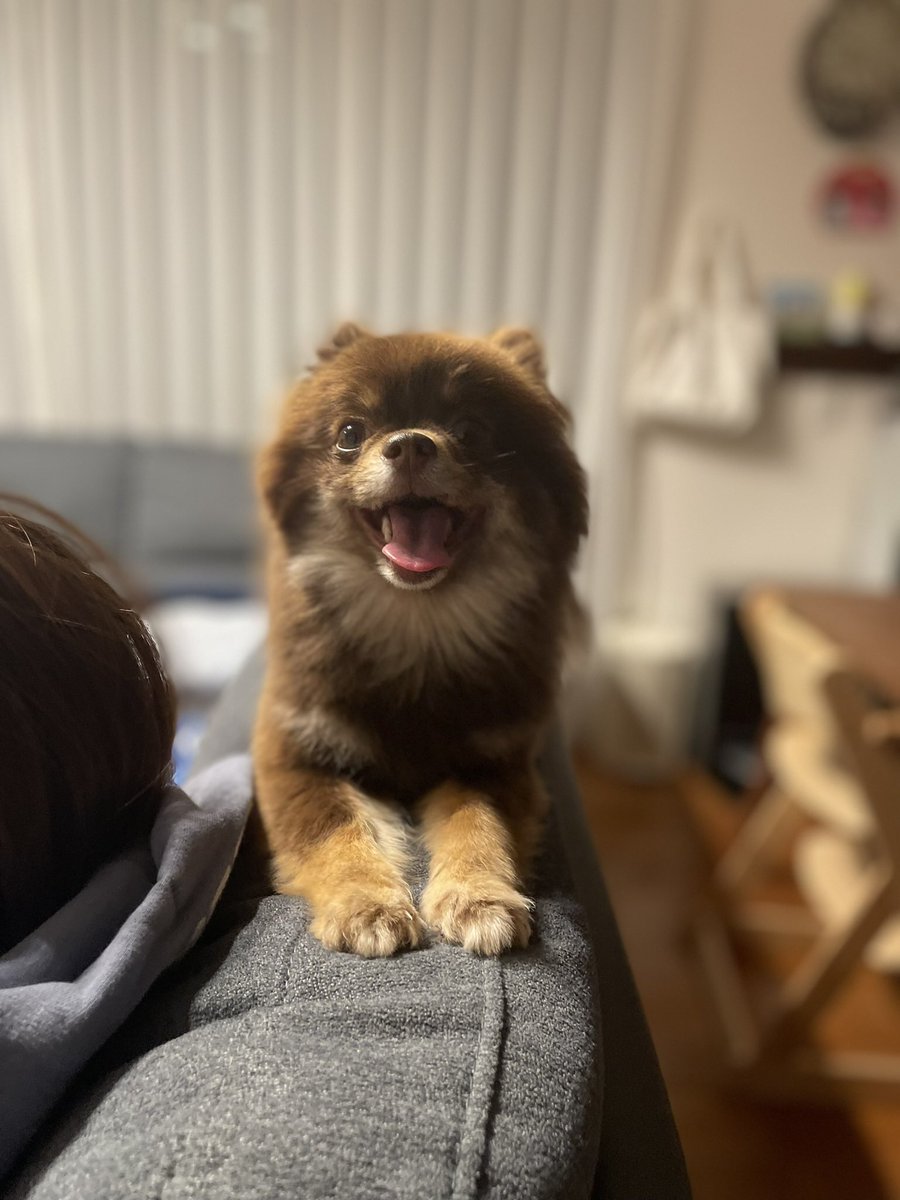 neigmakko's tweet photo. ニコニコ☺️ https://t.co/KQh0iAnvhA