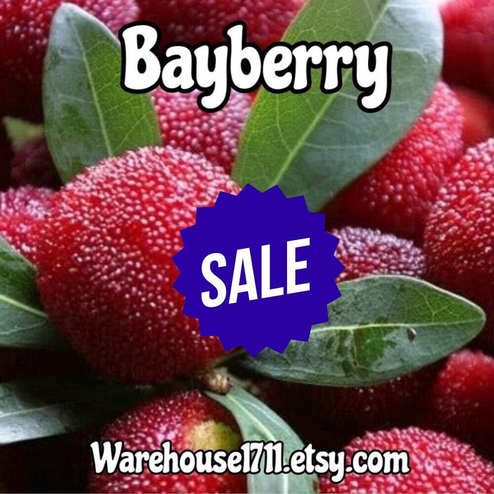 Bayberry Candle/Bath/Body Fragrance Oil - CLOSEOUT FRAGRANCE - Will Not Restock ~ Sale tuppu.net/17a2cf7d #candleoils #Warehouse1711 #explorepage #aromatheraphy #glitter #dtftransfers #candlemaker #handmadecandles #BurningOils
