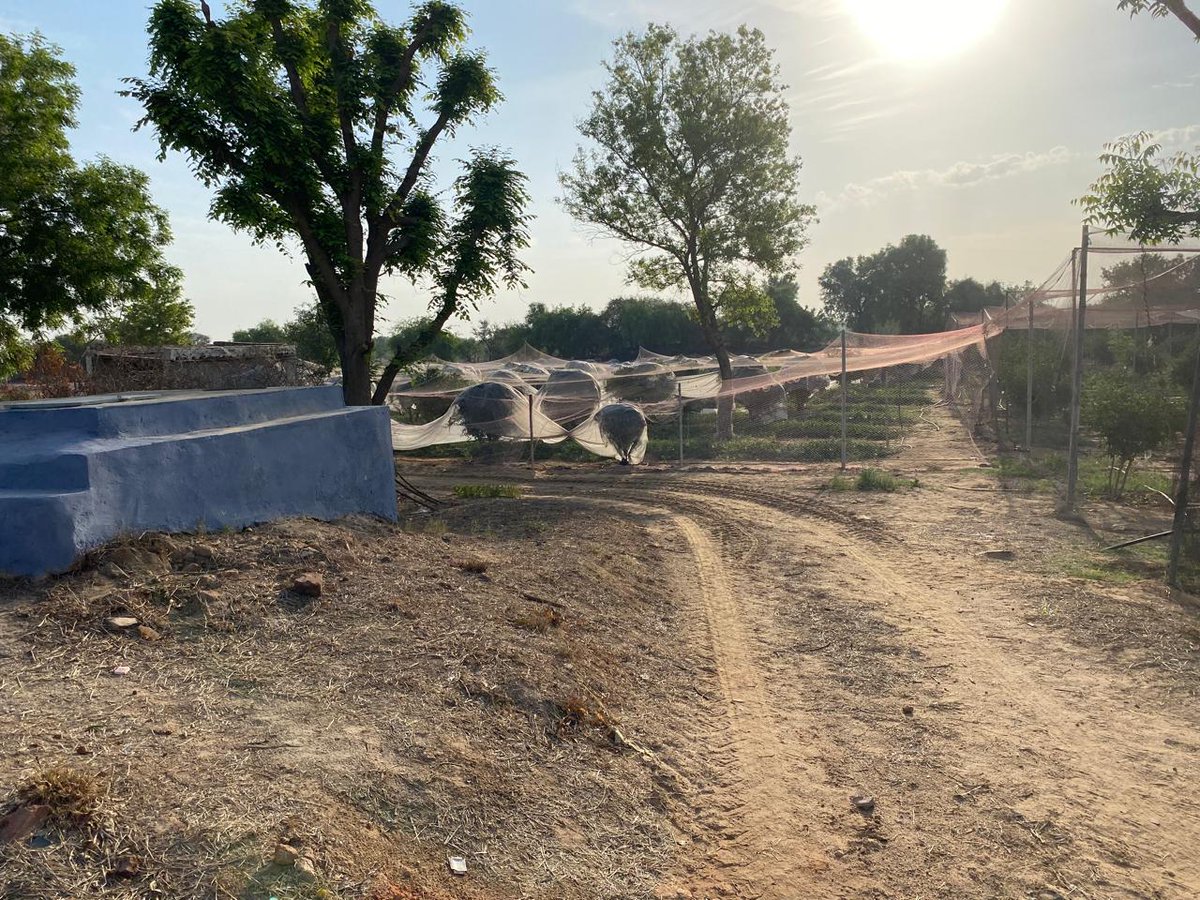vnbpspilani's tweet image. 🚴‍♂️🌿 Embracing Nature's Beauty: BPS Pilani Boxing Team's Cycling Adventure! 🌳🌟

A group of 18 enthusiastic students from our boxing team embarked on a memorable cycling trip covering 20 kilometers, accompanied by their dedicated coach.
#NatureAdventure #BoxingTeam #CyclingTrip