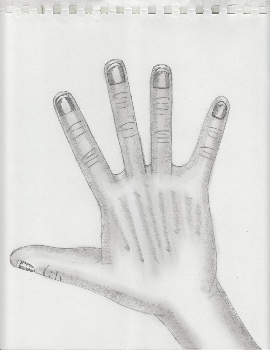 Hand Pencil Sketch #35 (04-22-2024) #scottsnider #scottmichaelsnider #art #fanart #pencilsketch #sketch #pencil #hand #hands #handsketch #handart #scott #snider #malton #toronto #torontoartist #maltonartist