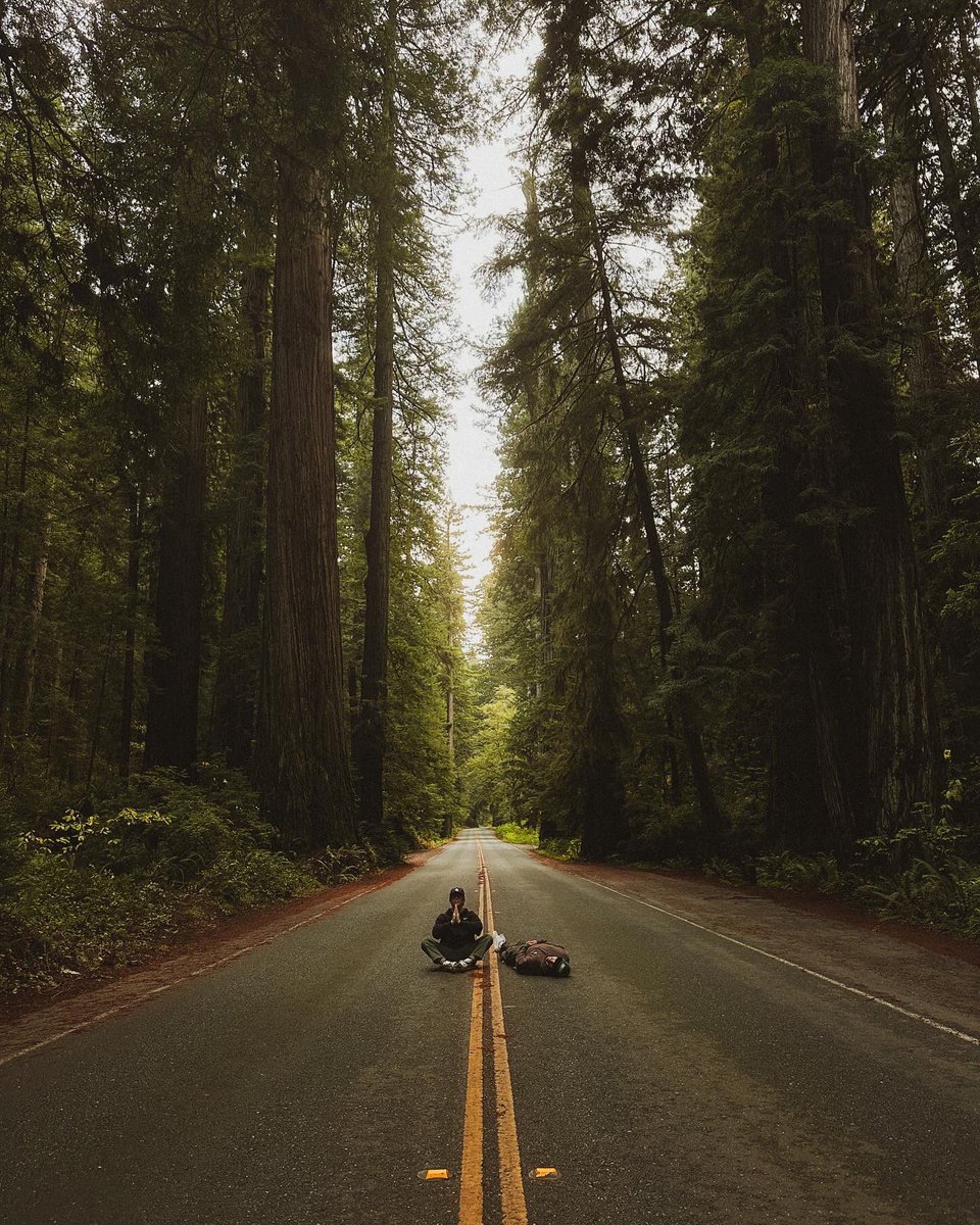 IAMSLOTH tweet media