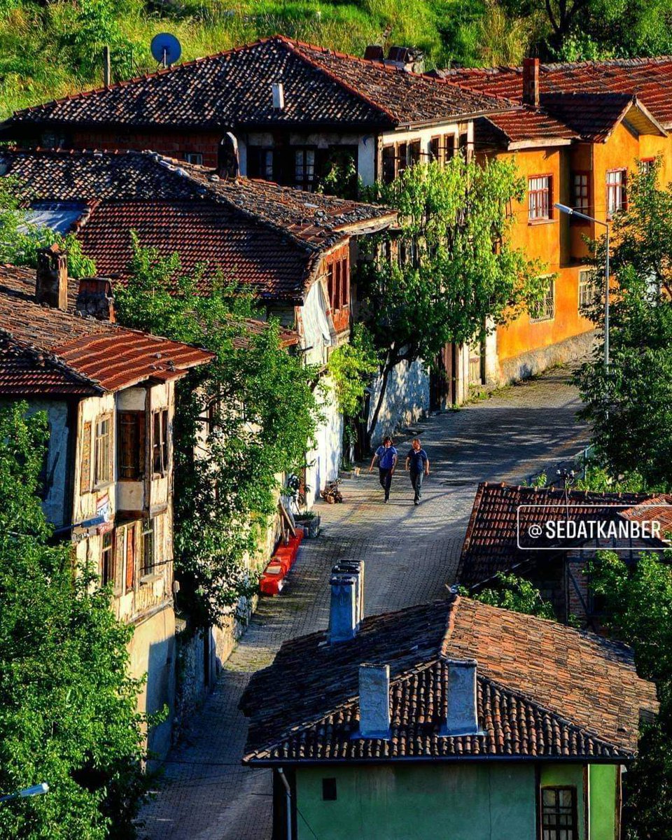 GÜNAYDIN.Yeni güne yeni haftaya Bismillah. Hepimizin sağlığı, mutluluğu, rızkı ,dostluğu bereketli olsun inş.Üretime Bereket, Tüketime ayar vermek biraz bizde. Yepyeni millet efendileri (çiftçi) bulmalı teşvik edilmeli.Yok değil bir hayli genç üretici görüyoruz. SÜBVANSİYON'da.🌻