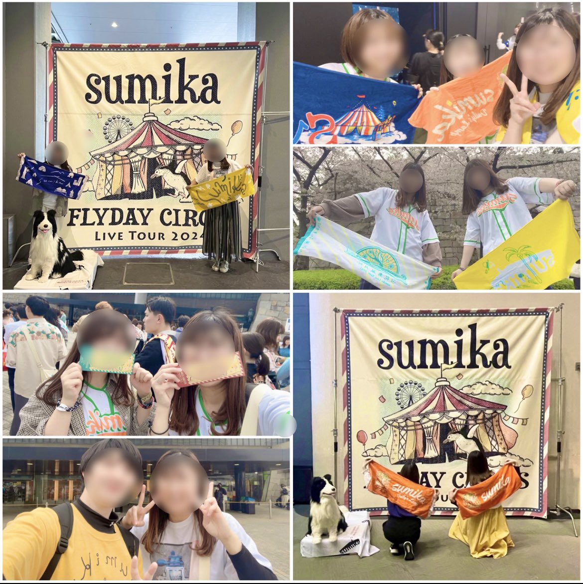 まいち (@maichi_sumika) / Posts / X