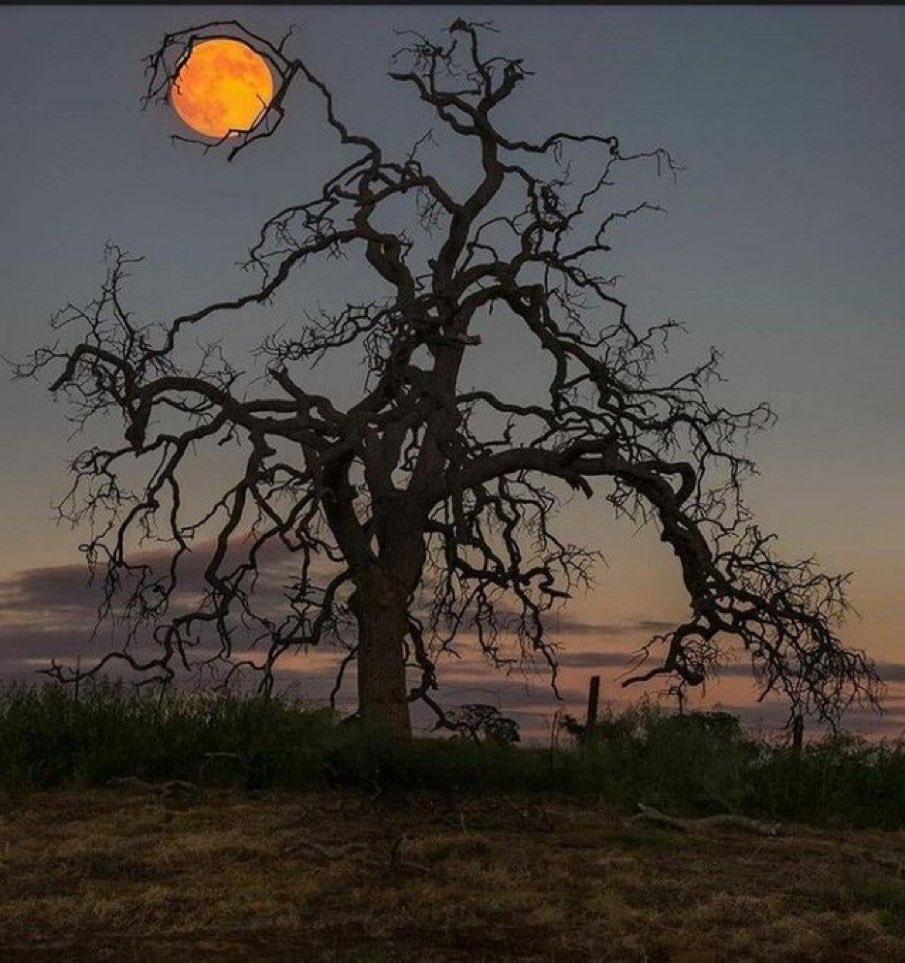 MOON LOVER (@m1onlover) on Twitter photo 
