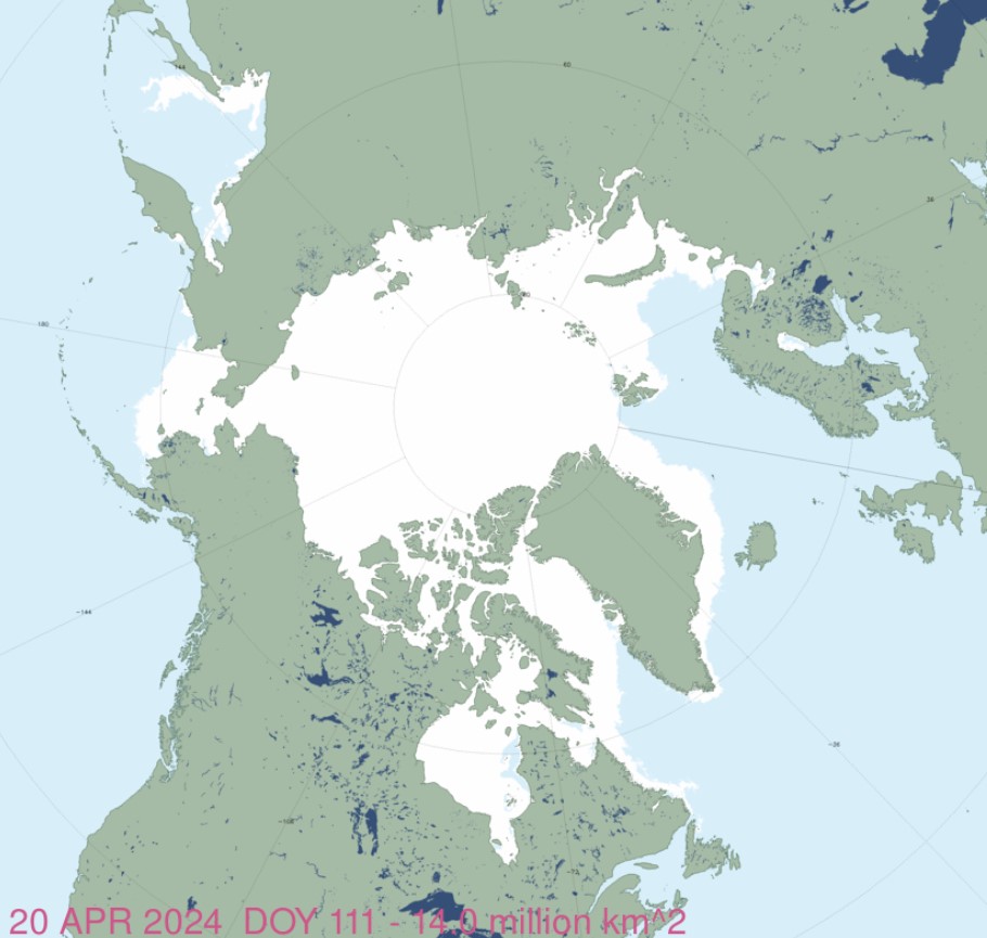 Arctic sea ice at 20 April 2024 higher than 2004 on the same date: no catastrophe for polar bears so far, who still have plenty of ice habitat for spring feeding