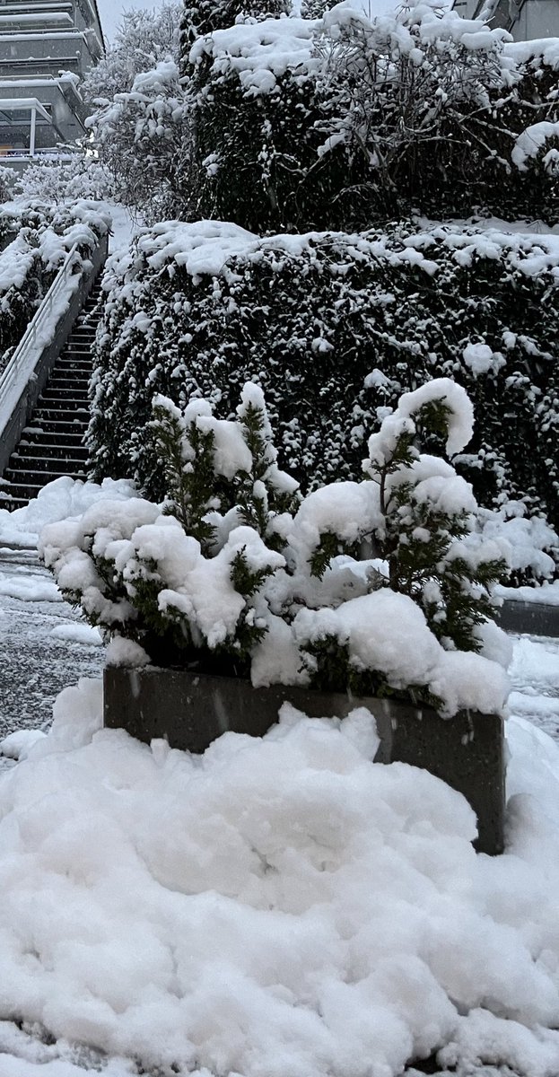 Guten Morgen meine Lieben Guten Morgen meine Lieben Wenn man aufwacht und es es ist tiefster Winter... #passtgutaufeuchauf