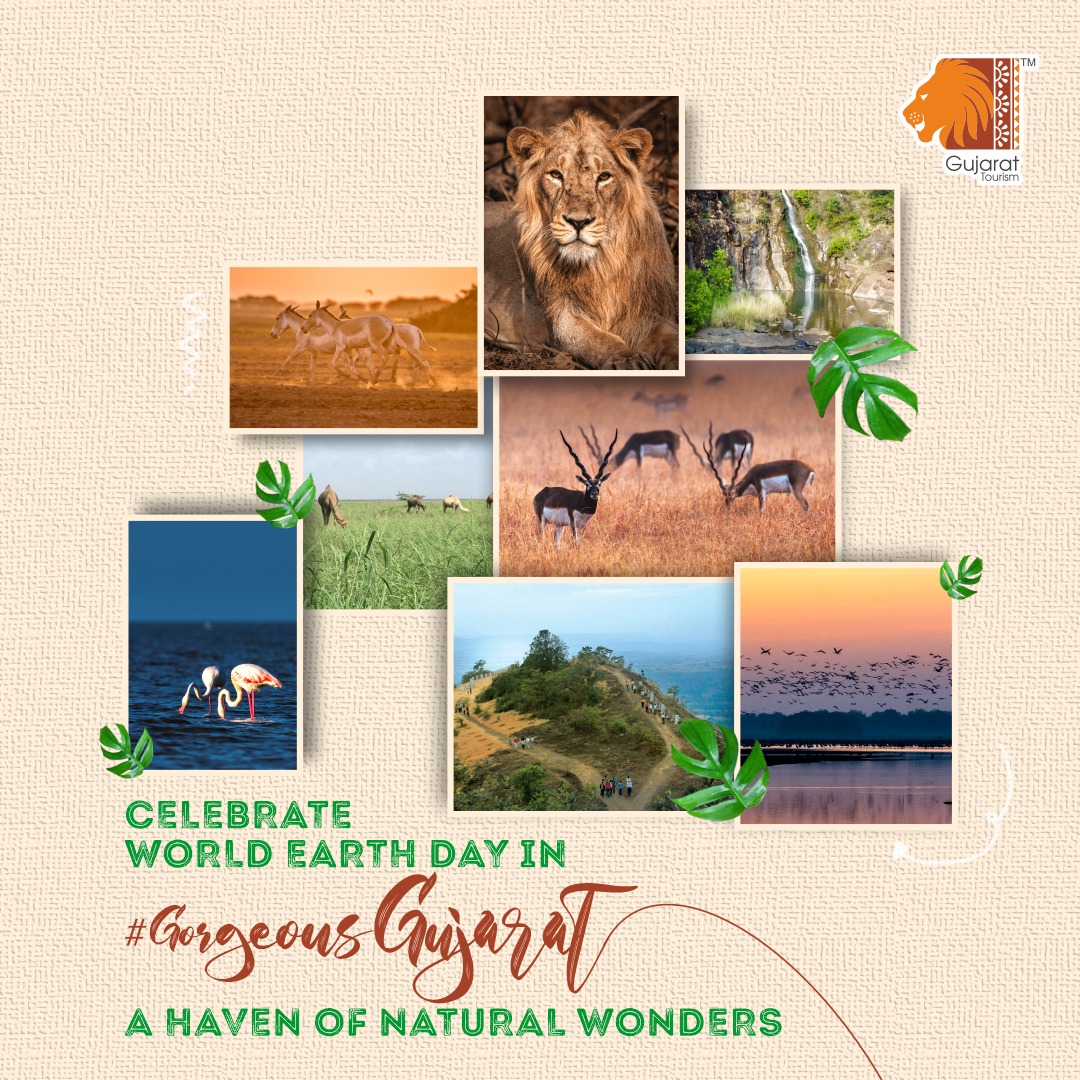 World Earth Day 2024 on April 22nd advocates for environmental action. Gujarat, a haven of natural wonders, is focused on Plastic Free Tourism to foster a cleaner, nature-friendly tomorrow. Let's join in by traveling responsibly and safeguarding our planet's future. @hareets…
