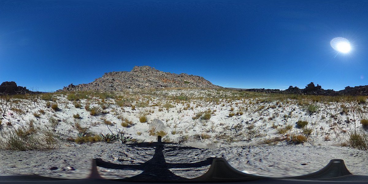 A 360 degree photograph of fynbos in the Groot Winterhoek section of the Cape Fold Mountains about 18 months after a fire. New plants can be seen in various stages of growth following the fire. The infertile white soil that fynbos tends to grow in can also be clearly seen.