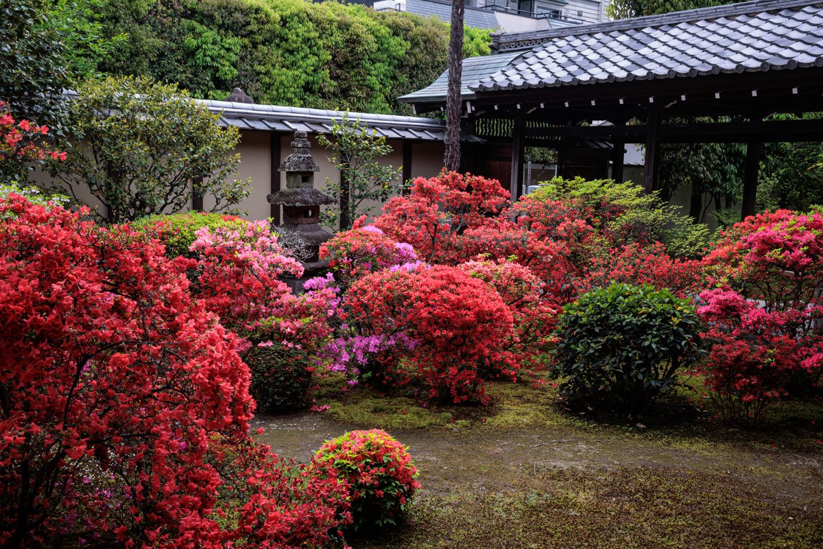 正伝永源院