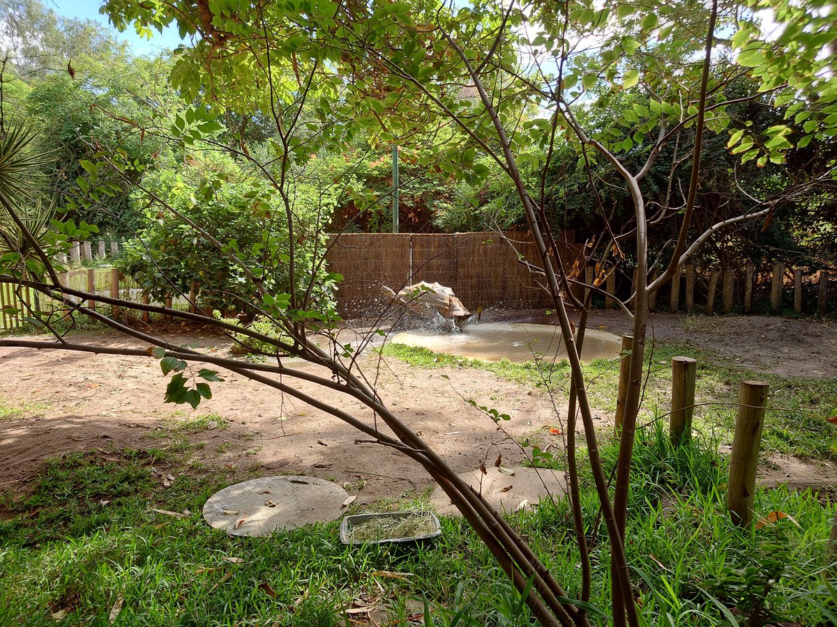 Tal Waterhouse tweet media