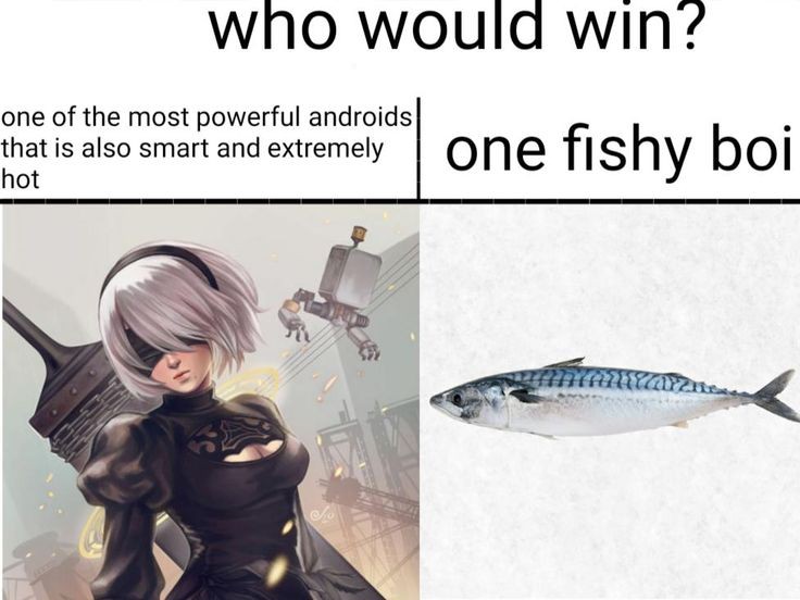 Those of us who did the optional endings of NieR: Automata know the answer 👍🐟