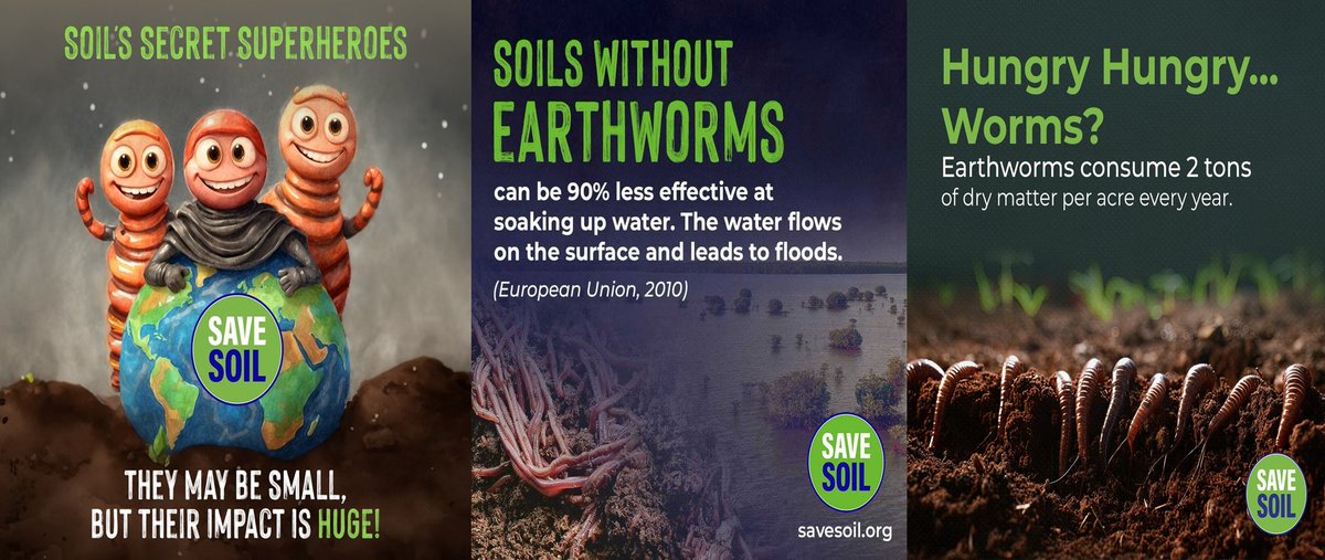Earthworms, woodlice, ants, termites, beetles, insect larvae are litter transformers, predators, some plant herbivores and ecosystem engineers, moving through the soil, increase soil porosity, soil aeration and creating new habitats for smaller organisms.
#SaveSoil #cpsavesoil