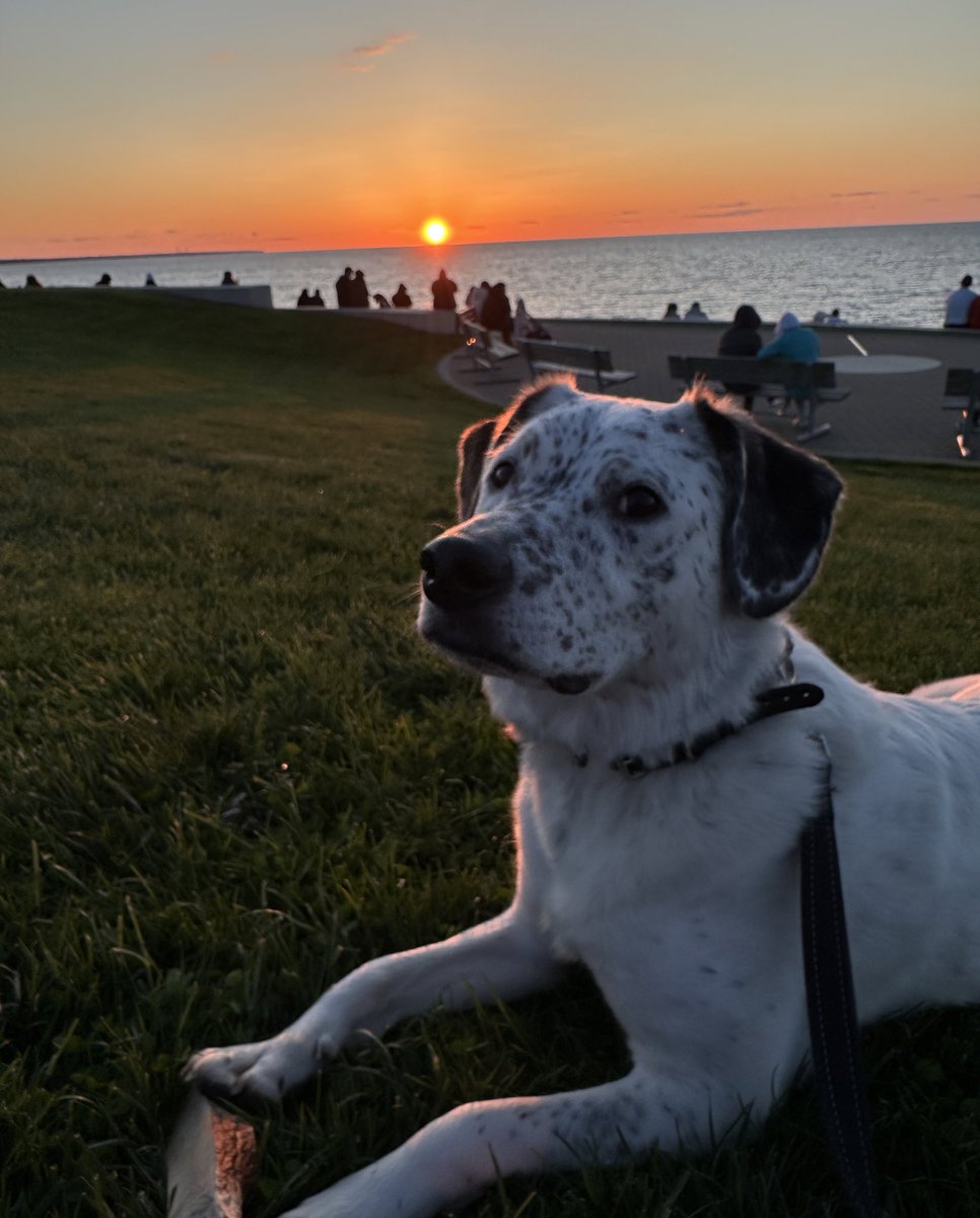 Made it home to my sunset-watching buddy 💕