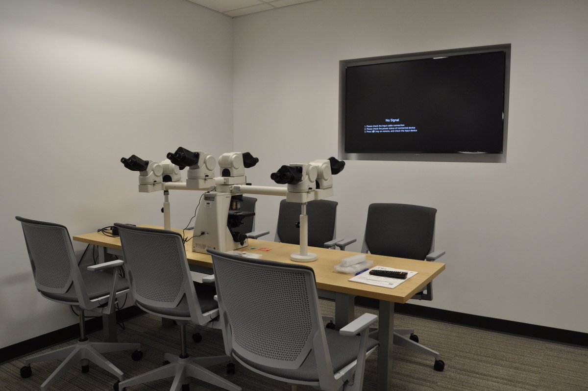 We've just installed a brand new multihead scope in the trainees' room! Here's to endless discoveries and advancements in pediatric pathology! 🏥💡 #pedipathfellowship #PediPath #PediatricPathology #wearecincykids #cincykidspathology #cchmc #cincinnatichildrens