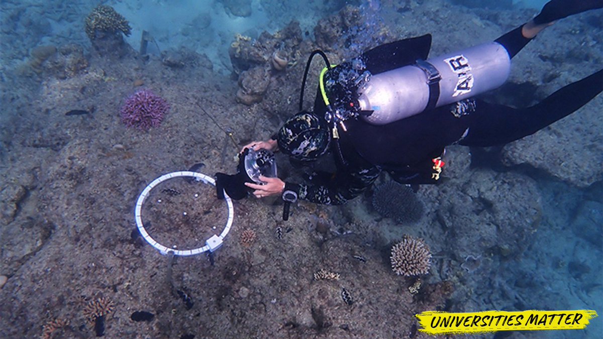 Using underwater macrophotogrammetry for the first time, @SCUonline and @CSIRO have made it easier to monitor newly settled corals at submillimeter scale on the #GreatBarrierReef. 🪸 #UniversitiesMatter #research Read more here: ow.ly/J5Yg50RkPlN