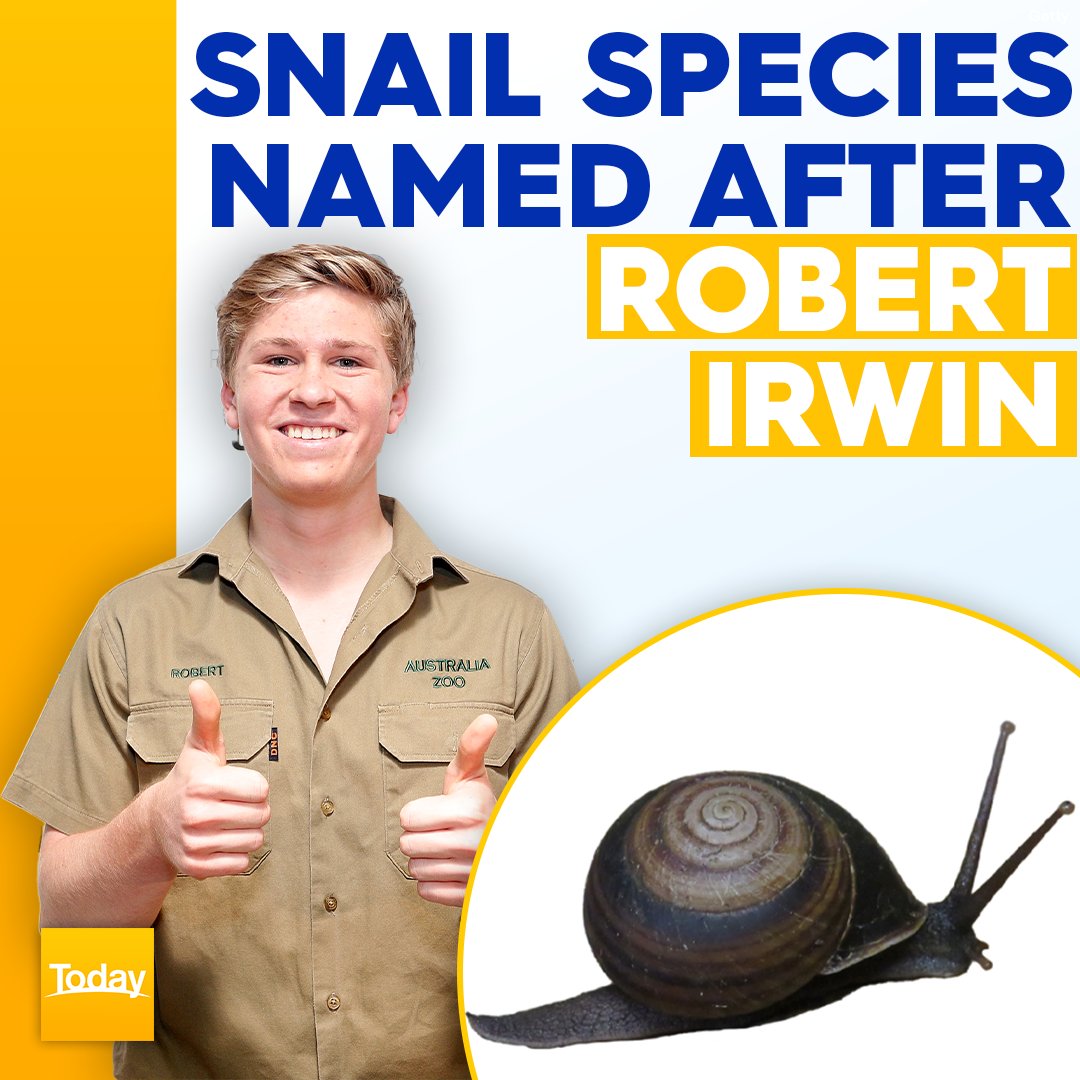 What an honour! 🐌👏

Following in the footsteps of his father, wildlife warrior Robert Irwin has had a snail named in honour of him as research identified 15 new species. 

WHERE YOU CAN FIND IT: nine.social/Fgk

#9Today