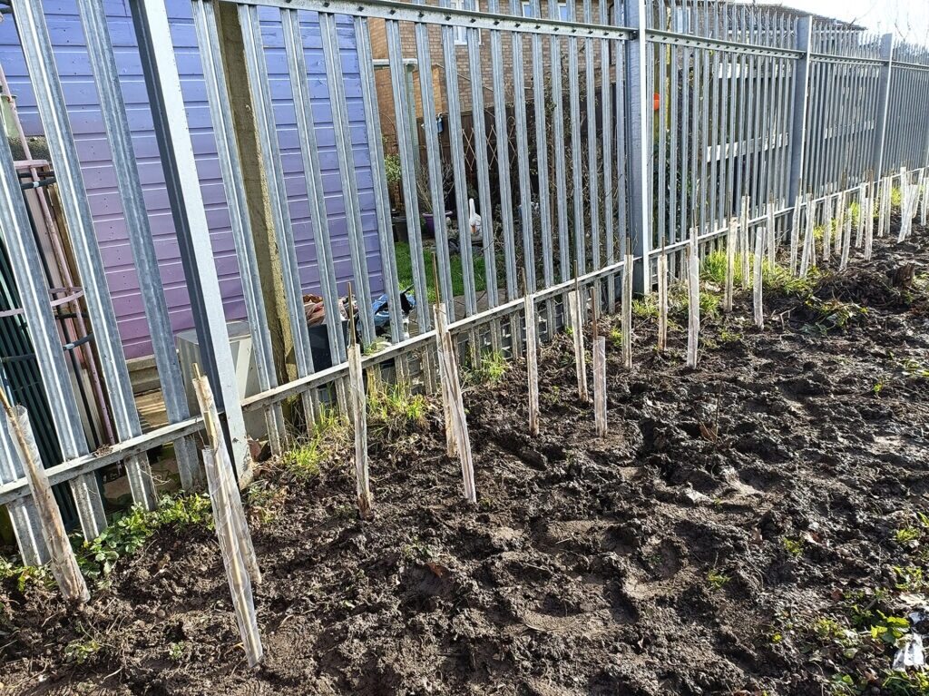 In support of Earth Day we are celebrating our fabulous GFMGFE colleagues at Stamford College who planted 800 tree saplings uniting local schools, Stamford Scouts and their local community. 🍃 Well done Stamford College! #GoodforMeGoodforFE @stamfordcolluk