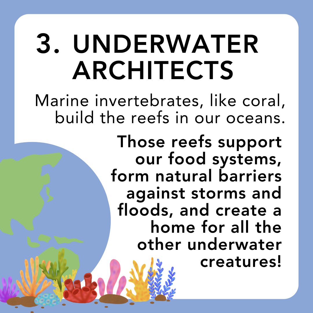 Happy #EarthDay! While we celebrate the earth today, we want to remind you to celebrate the invertebrates that help shape it! Invertebrates structure our world in many ways you might not think about. Be sure to check out earthday.org/earth-day-2024/ to learn more ❤️ #ozinverts