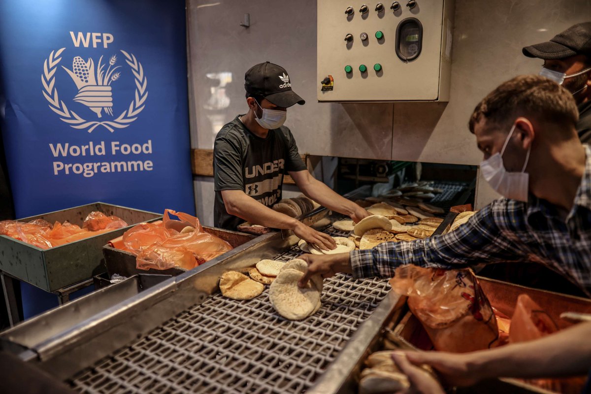 #Gaza: WFP has delivered fuel and wheat flour to bakeries in the north so they can begin production again after 170 days of being inoperable. Four bakeries are now up and running and WFP is urgently working to deliver more supplies.