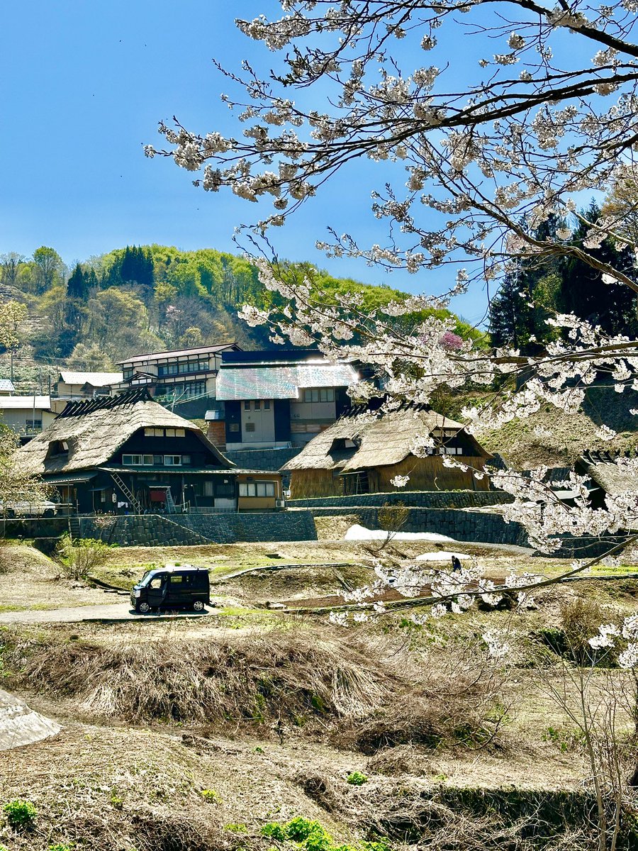 田麦俣は まだ桜が咲いていて 山桜も見頃です！ 月山にある雪景色とのセットが 綺麗ですよー🌸 #田舎の風景