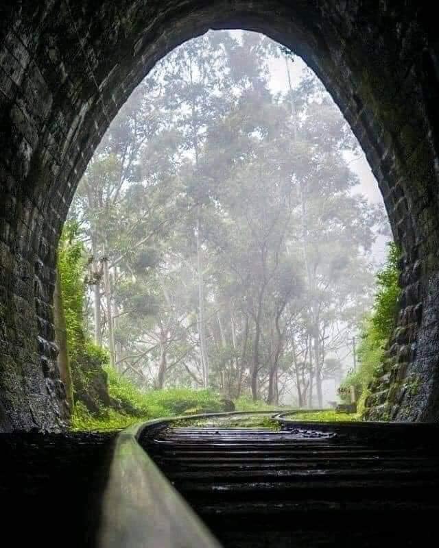 මේ තමයි ලංකාව 🥰

📸 චායාරූප වල අයිතිය මුල් හිමිකරුවන් සතුය

#colombotimes #colombotimesnews #SriLanka #srilankatravel #Amazing #everyone #travelling #Wow #upcountry #Pattipola #Badulla #train #wonderfulplaces