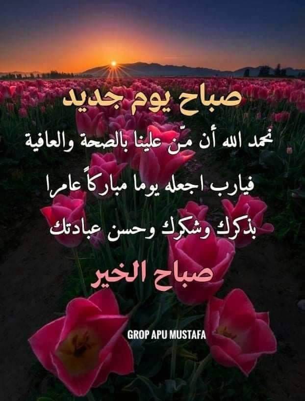 صباح الخير والسعادة علي الجميع اسعد الله صباحكم بكل الخير انقضي الشهر الكريم والايام الست من شوال وعيد الفطر المبارك كل سنه وانتم طيبين وتقبل الله منا ومنكم صالح الاعمال واللهم اعيد علينا وعليكم هذه الايام المباركة وانتم في احسن صحة واحسن حال ...وحشتوني جدا جدا اصدقائي الاعزاء