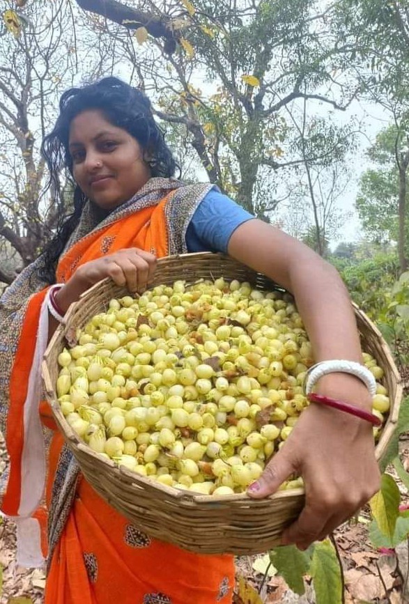 ShekharBarapat2's tweet image. #महुआ : 

महुआ का फूल वात (गैस), पित्त और कफ (बलगम) को शांत करता है, वीर्य व धातु को बढ़ाता और पुष्ट करता है, फोड़ों के घाव और थकावट को दूर करता है, यह पेट में वायु के विकारों को कम करता है, @keeper_of_books @bikinatroll @atapasha7 @focustree_app  #mahuaa