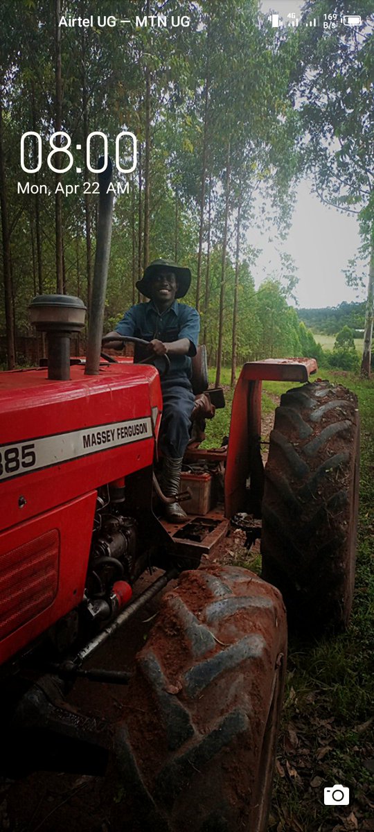 #Farmer's wallpaper challenge.
Share your wallpaper if you're a farmer.

Wishing everyone a blessed week filled with success especially those who feed the community.

#Agriculture #YouthsInAgriculture #MondayMood