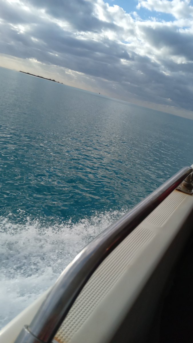 #صباح_الاثنين