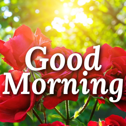 Aslamo alikum ♥️🌹♥️
Good Morning everyone ⚘👨‍💼⚘
X Family 👨‍💻
#ไบร์ทเนเน่ #Bitcoin #PAKvsNZ