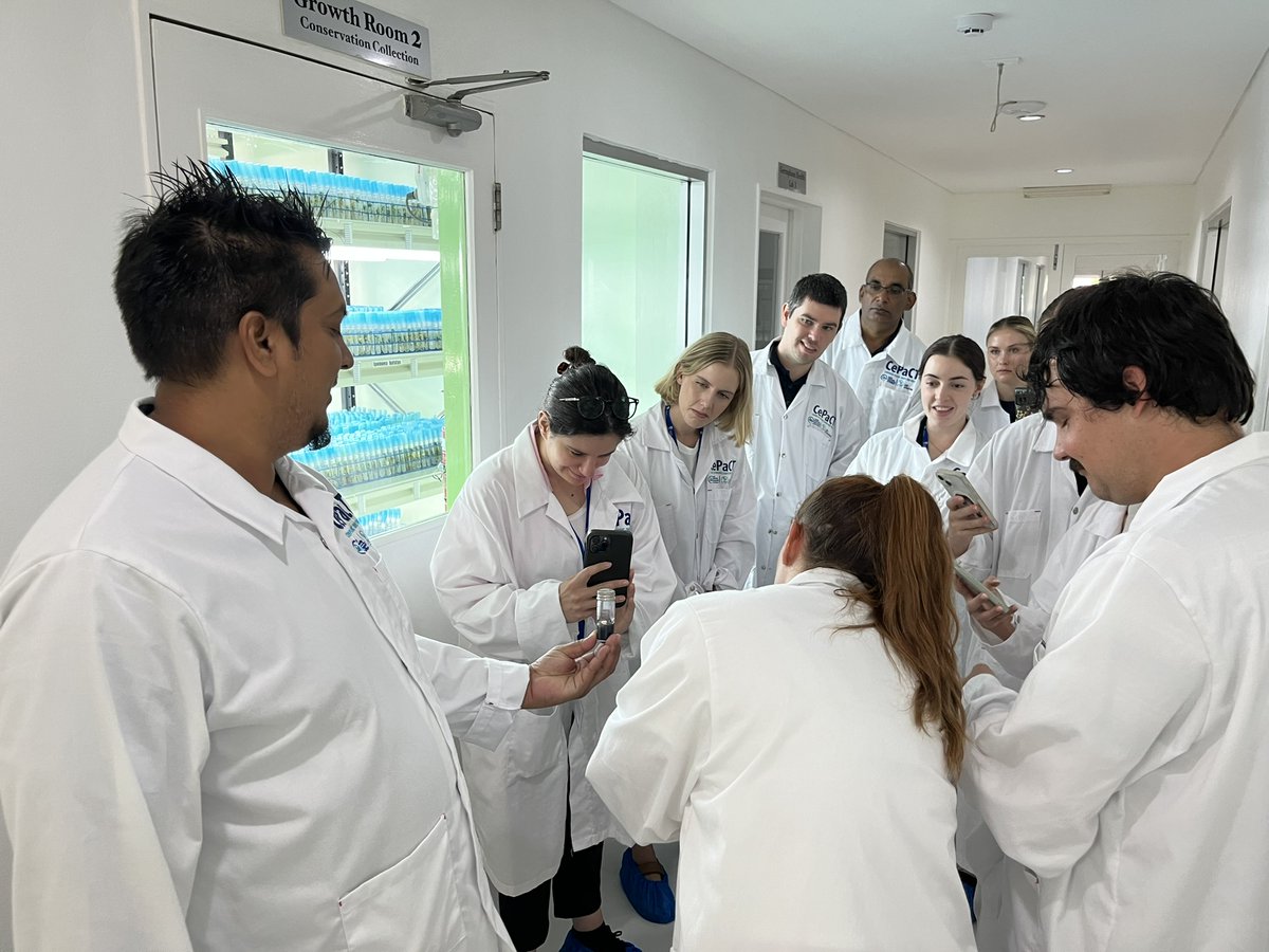 spc_cps's tweet photo. #PacificAgriculture | 🔬 @UniversitySA is in the house!
🧑🔬 Undergrads of the Clinical & Health Sciences unit visited #CePaCT (Centre for Pacific Trees and Crops) facilities. Our researchers introduced them to the #PlantMolecular & the #seed laboratories. https://t.co/BHdfYgwvnm