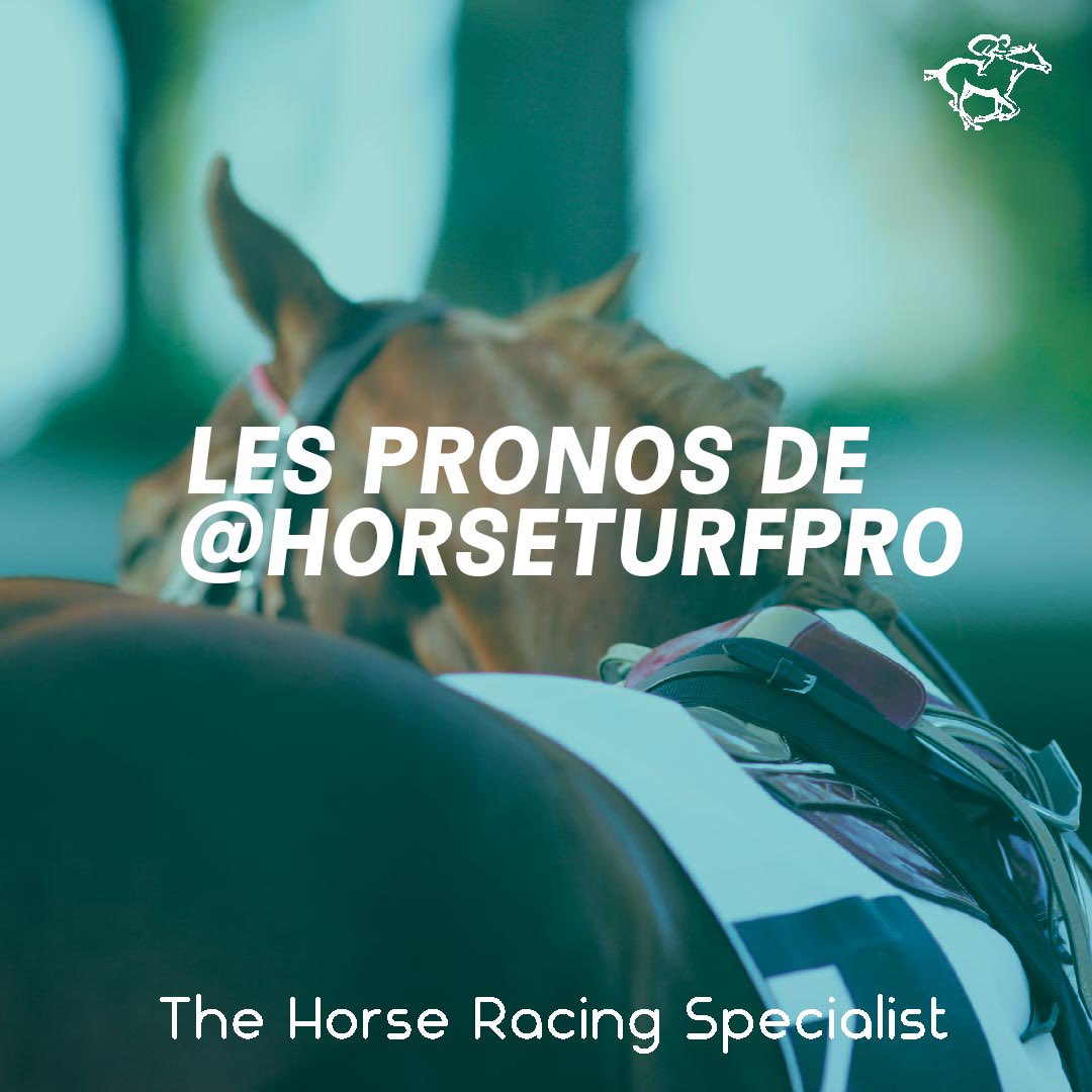 Quelques 🏇 à suivre ce lundi @AuxCoursesStras ✍️ 112 LA TEMPLIERE @DelzanglesMikel 203 RUNHAYMIN @EcurieSeror 315 FEARLESS - 7 INDIAN SUNSET 505 JACK LUX @FelixdeGiles - 3 INOUÏE TIPEY @JamesReveley 605 WALENCIA 702 JEUNE COKO 802 GLOBAL HEALTH @schiergen