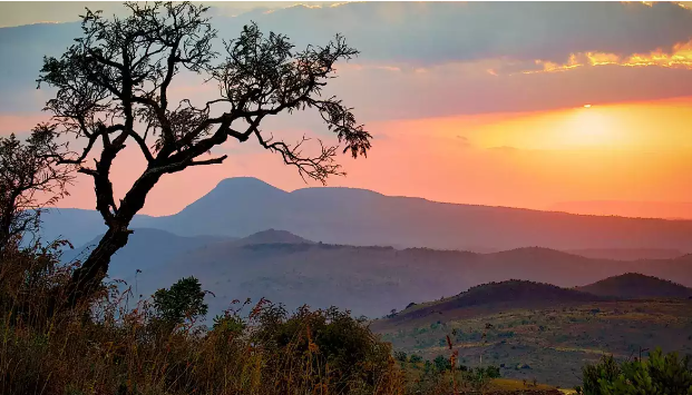 AffairAfrica's tweet photo. South Africa: Discover spectacular forests of The Rainbow Nation .
"Spectacular forests of The Rainbow Nation," we're referring to the amazing forests found in South Africa.
#ChasingTheSun2 #BASE404 #BSB30for30 #TheRose #SouthAfrica #Greenyforest #Sinayethebrand #Radio2000 https://t.co/YM66EZF1vr
