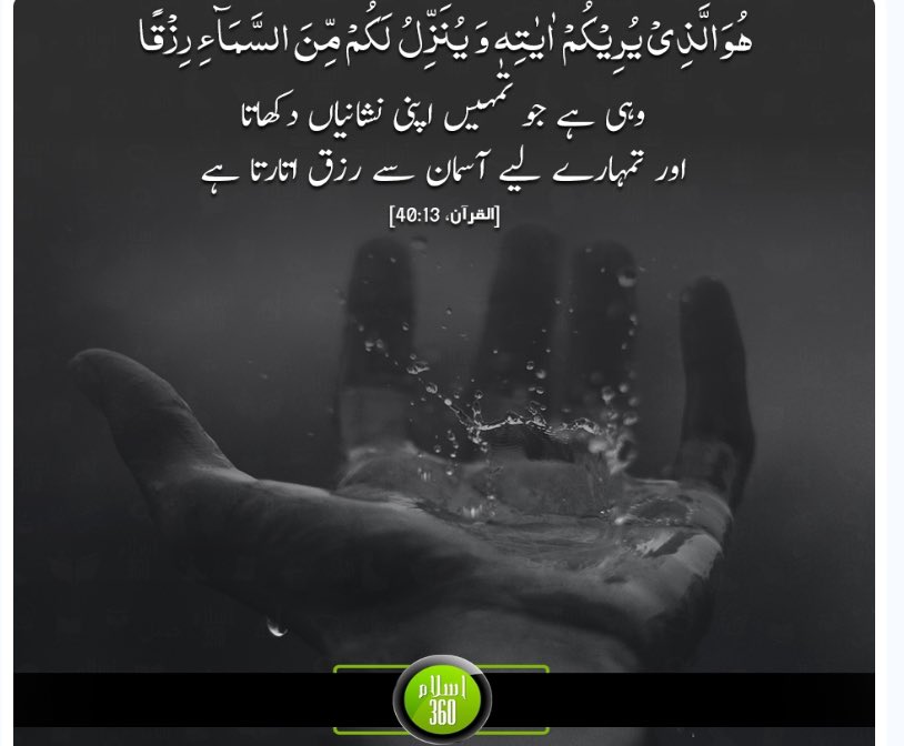 Assalam o alekum 
Good morning friends 
Have a good day……