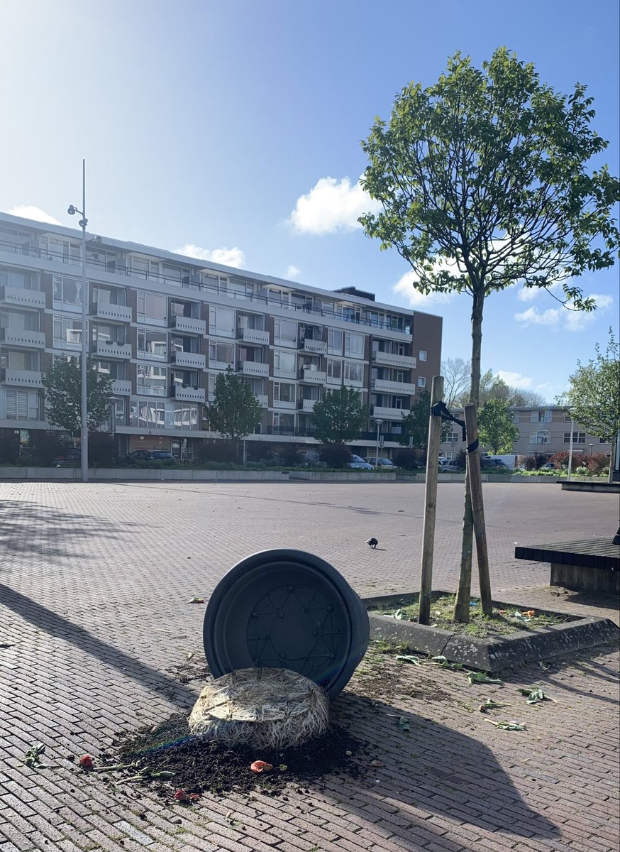MerikeWoning's tweet photo. Tulpfestival op het Confuciusplein. @tulpfestival @NieuwWest https://t.co/tCOQvfXsbS