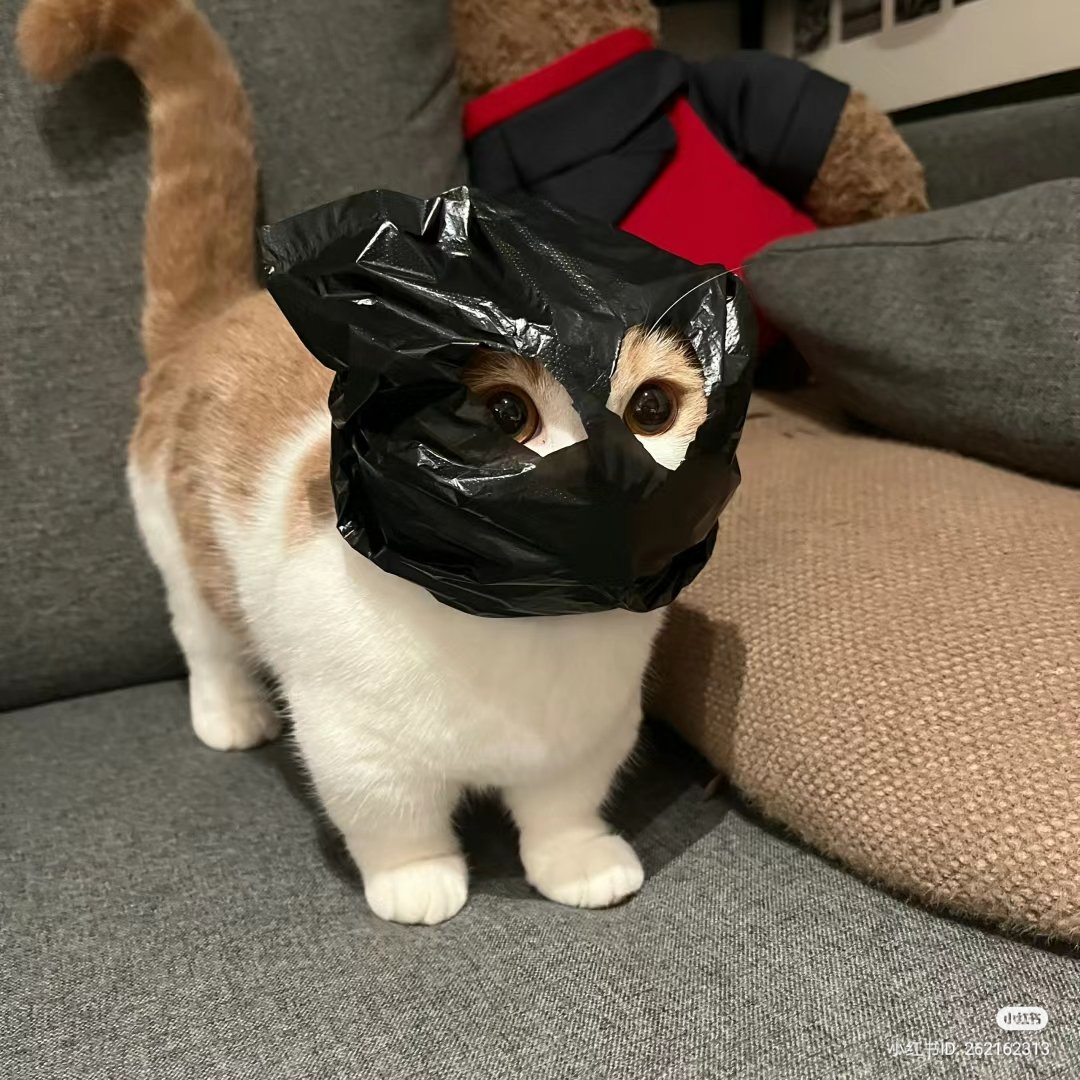 Burglar