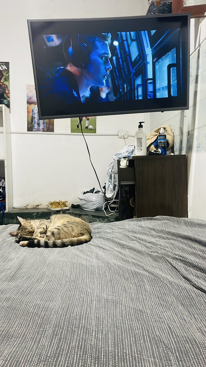 Arthuro_mori's tweet photo. Con ella siempre las noches son mágicas #Yajaira #Gatita ❤️ https://t.co/bMCqV2svpl