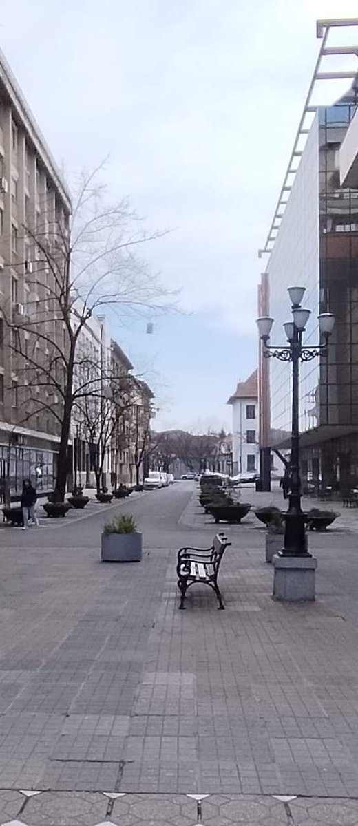 Timișoara/ România 
❤️🇷🇴❤️