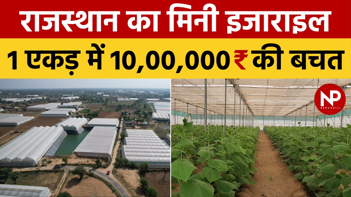 'Mini Israel of India'
Yes !! This place in #Rajasthan is called so. Where farmers struggle to earn mere 50K/acre, here they earn more than 10lac/acre 
Watch this full story on their setup and #technology only @PotliNews 

youtu.be/jJuF_jX2qPM?si…
#polyhouse #farming #agriculture